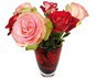 flat flowers roses eur 9,50 incl. btw